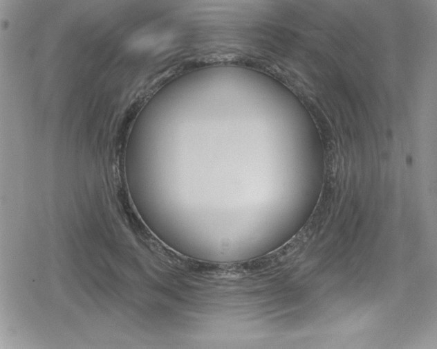 X0000080130743200612080955