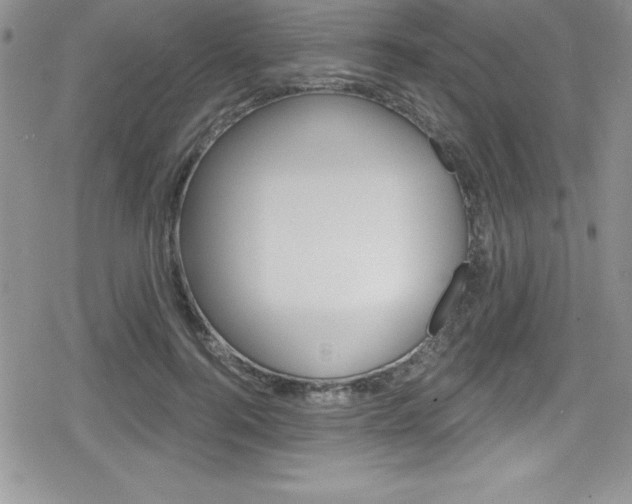 X0000080130744200612080955