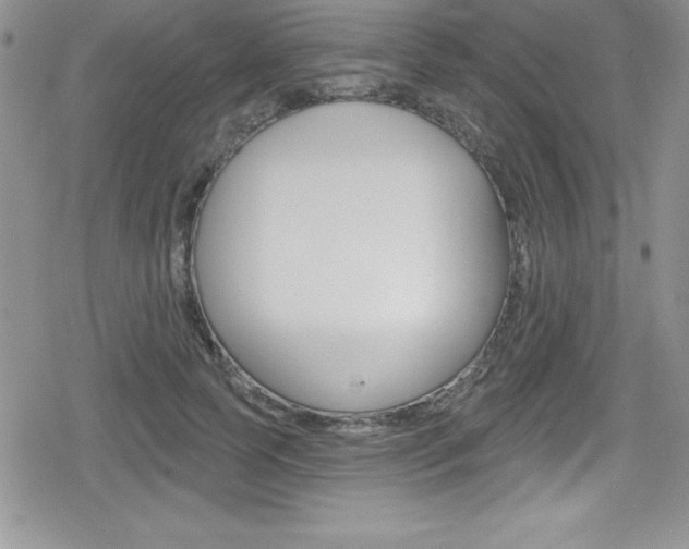 X0000080130745200612080955
