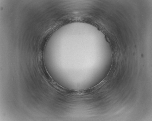 X0000080130747200612080956