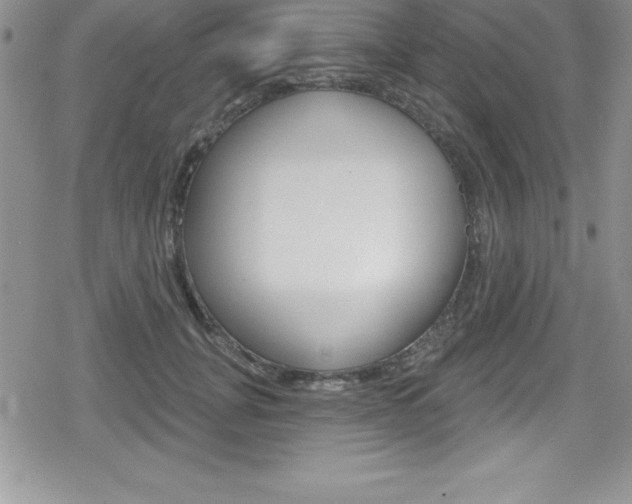 X0000080130751200612080956