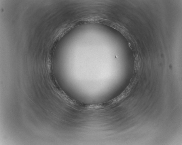X0000080130762200612080956