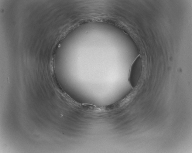 X0000080130768200612080956