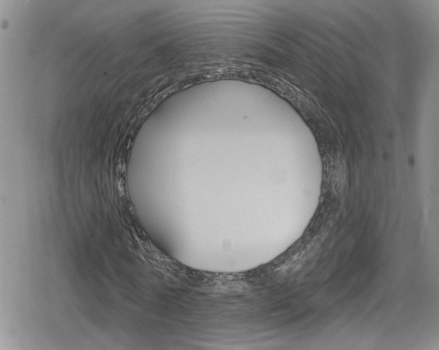 X0000080130770200612080955