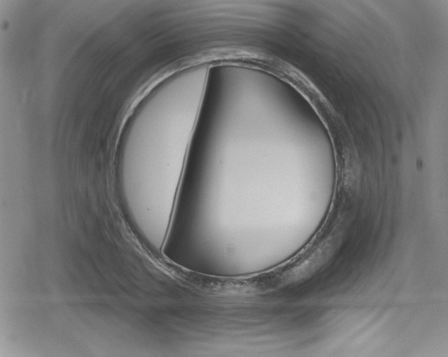 X0000080130786200612080955