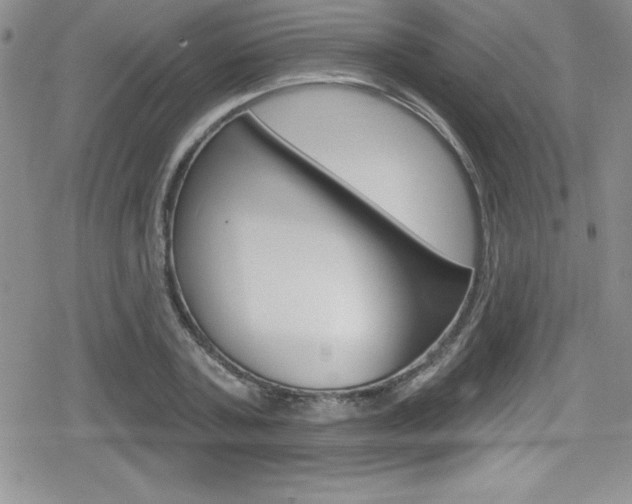 X0000080130787200612080955