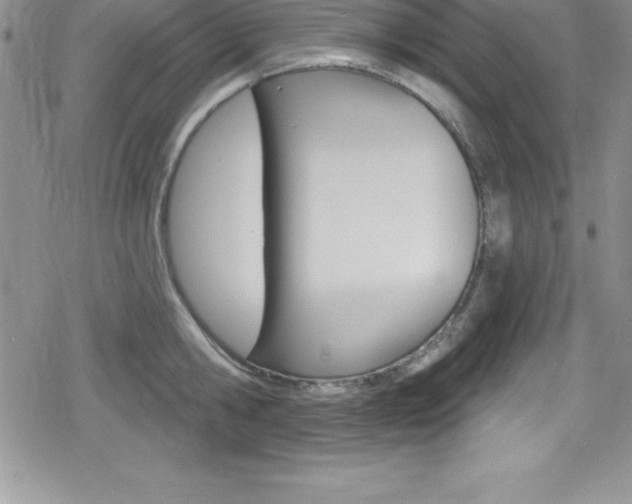 X0000080130806200612080954