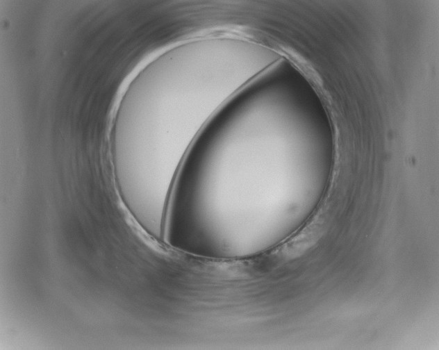X0000080130816200612080954