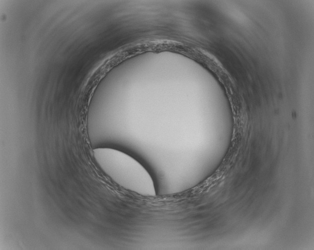 X0000080130823200612080954