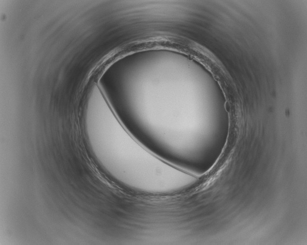 X0000080130826200612080954