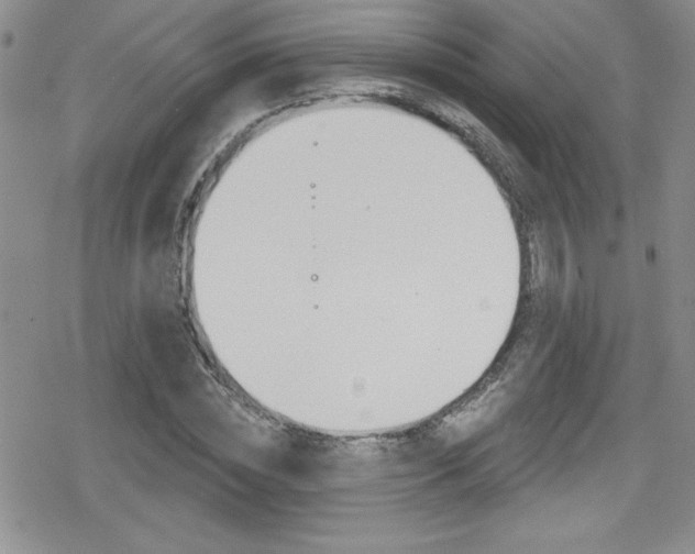 X0000080130828200612080954