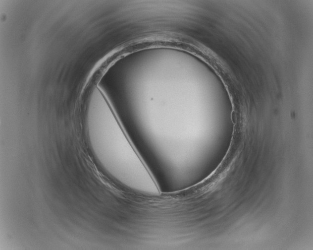 X0000080130830200612080954