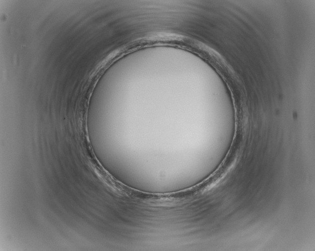 X0000080130833200612080954