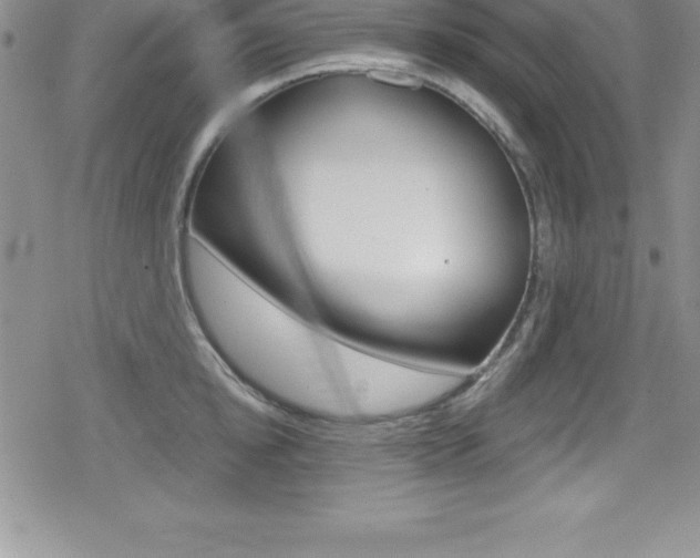 X0000080130854200612080954