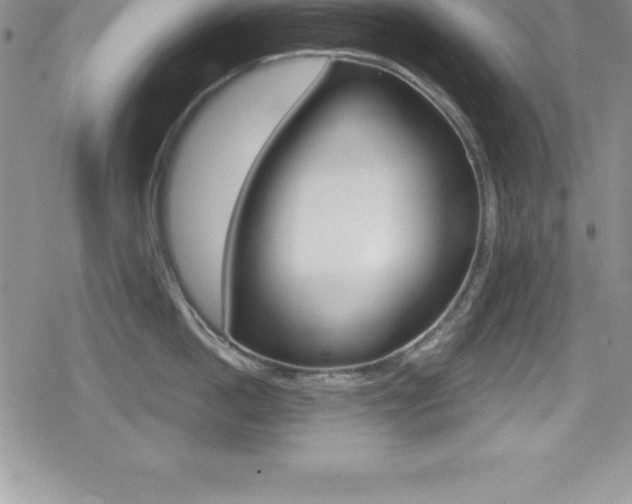 X0000080130862200612080954