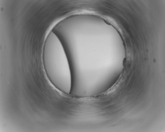 X0000080130863200612080954