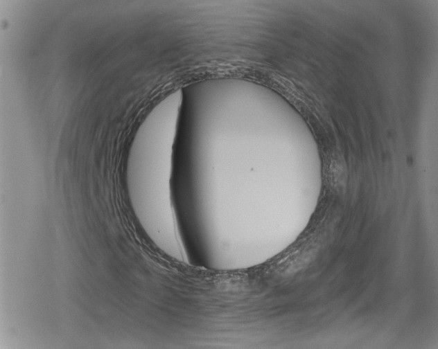 X0000080130865200612080954