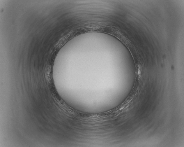 X0000080130867200612080953