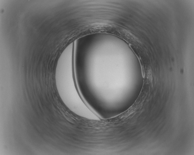 X0000080130868200612080953