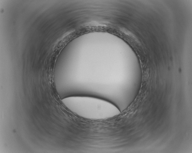 X0000080130870200612080953