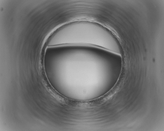 X0000080130880200612080953
