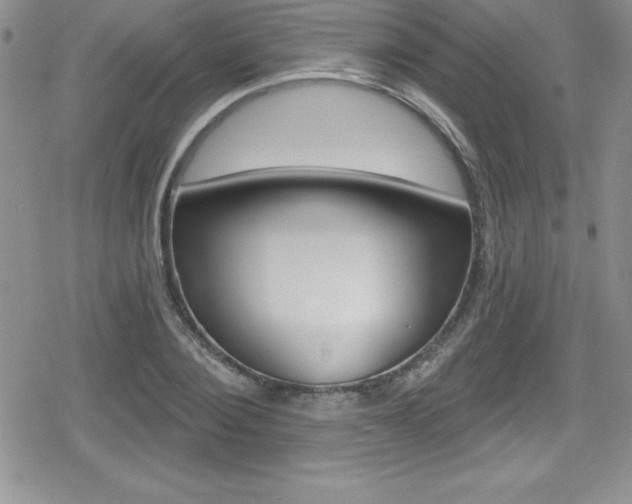 X0000080130884200612080953