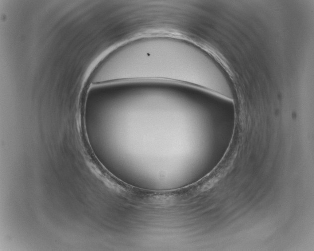 X0000080130888200612080953