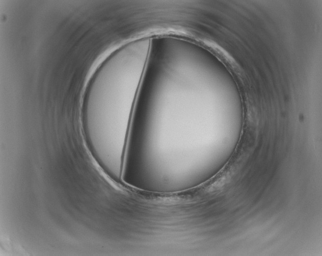 X0000080130894200612080953