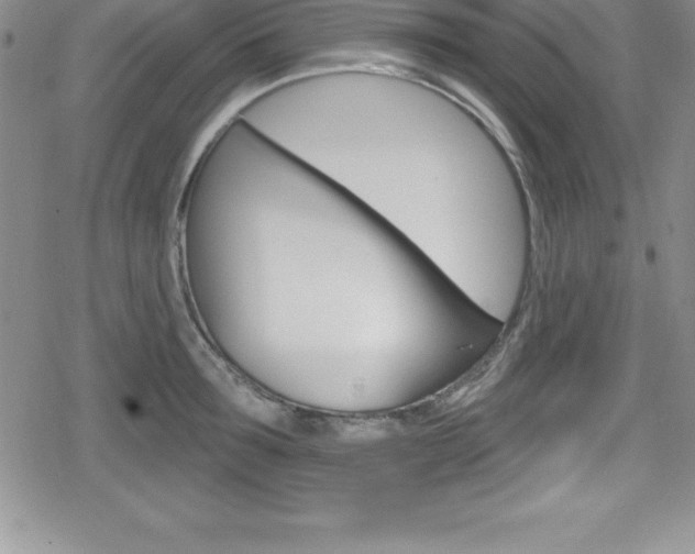 X0000080130899200612080953