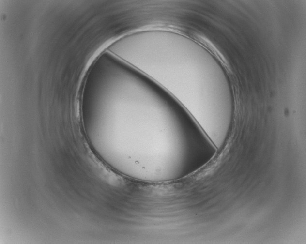 X0000080130900200612080953