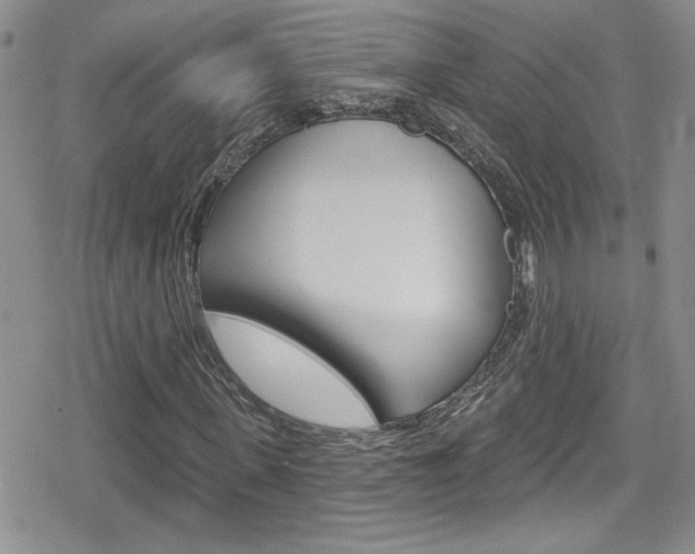 X0000080130915200612080952
