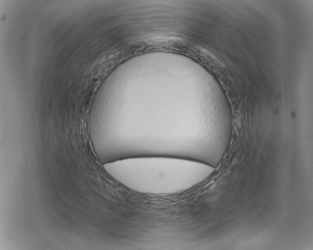 X0000080130917200612080952