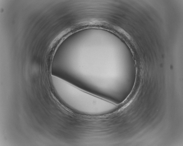 X0000080130922200612080952