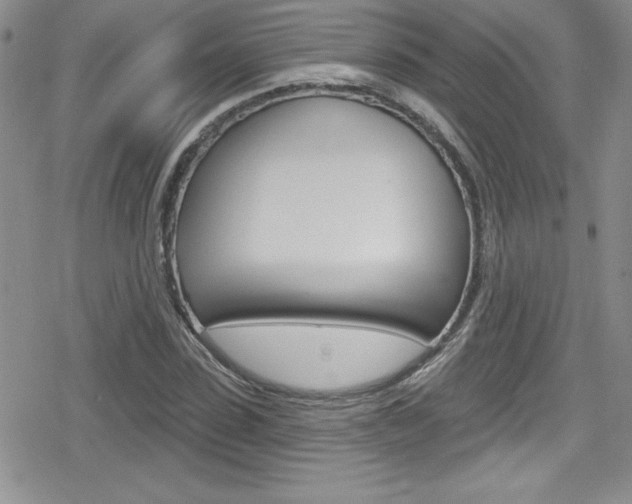 X0000080130923200612080952