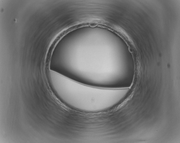X0000080130924200612080952