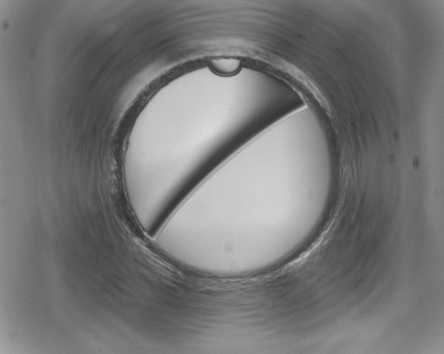 X0000080130926200612080952