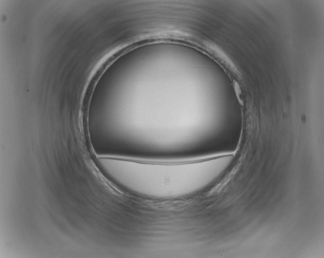 X0000080130932200612080952