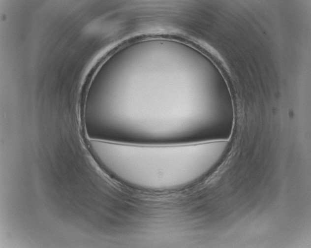 X0000080130935200612080952