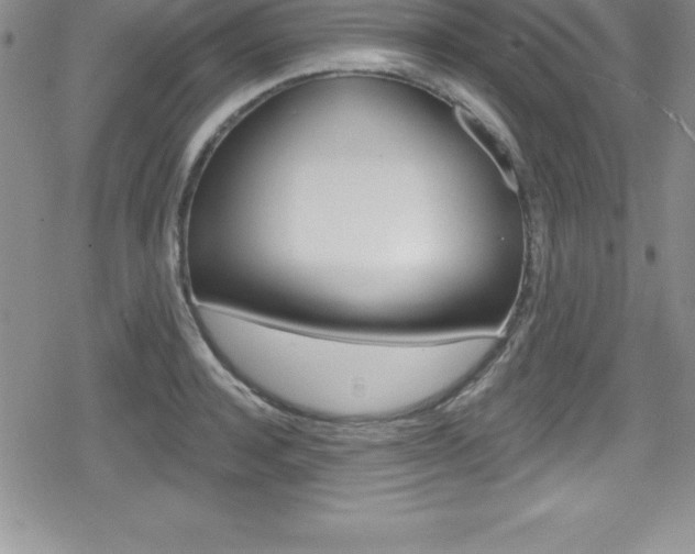 X0000080130944200612080952