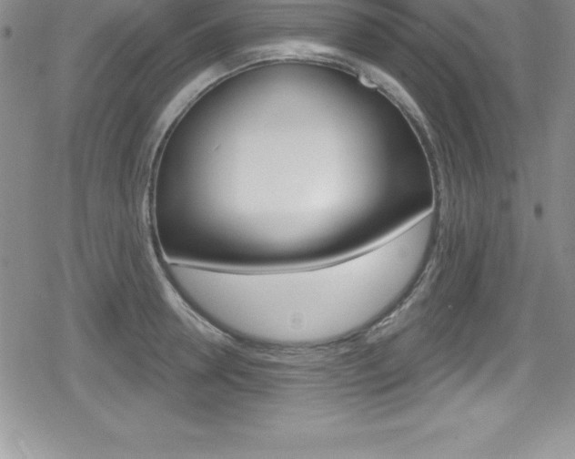 X0000080130946200612080953