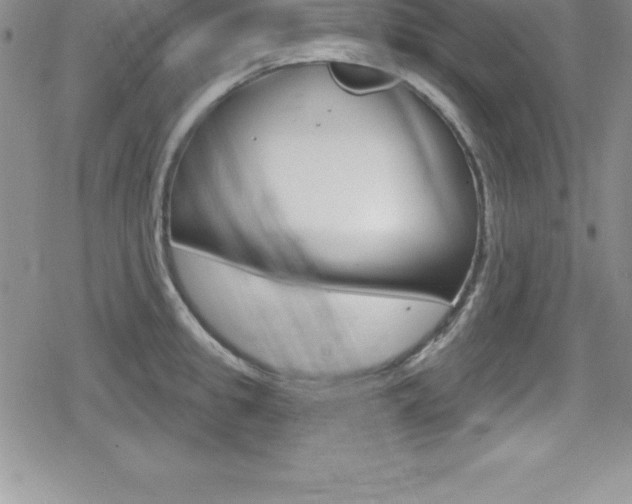 X0000080130949200612080953