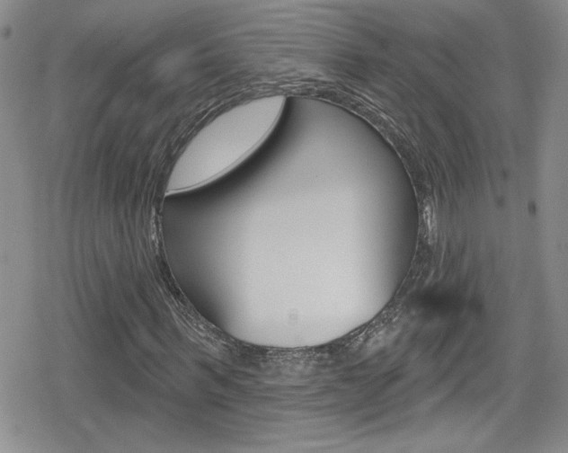 X0000080130963200612080952