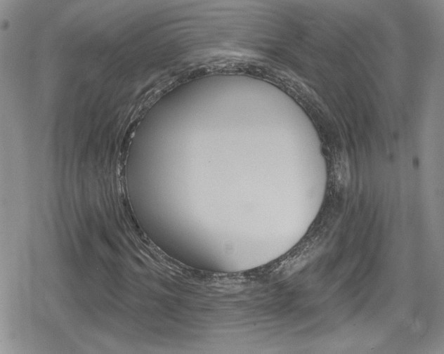 X0000080130964200612080952