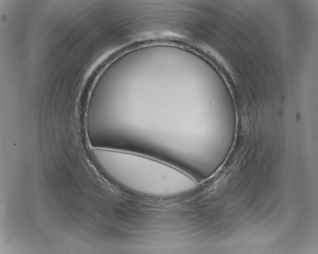 X0000080130975200612080952