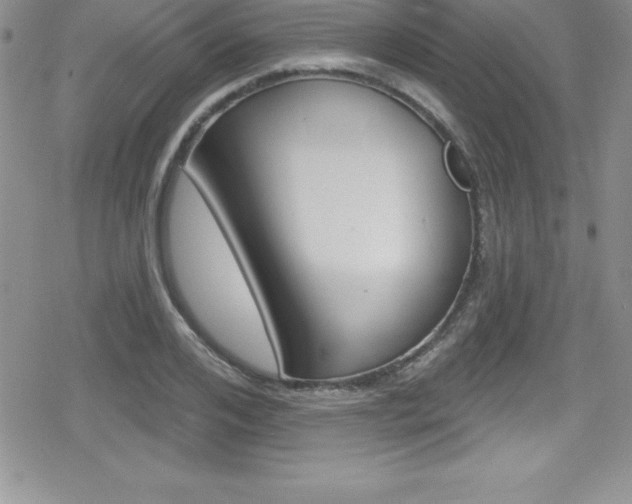 X0000080130984200612080952