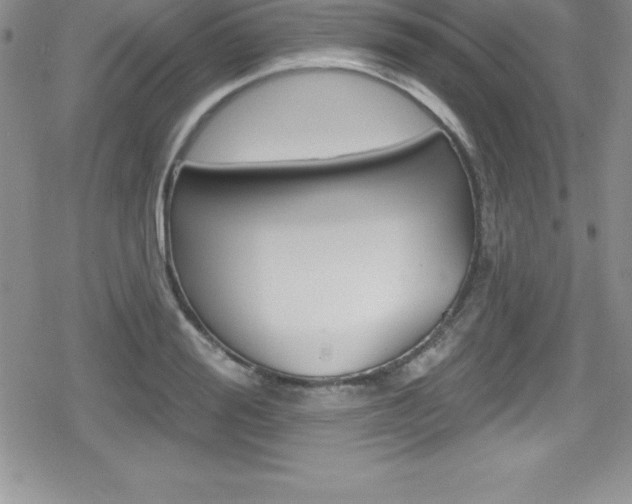 X0000080130988200612080952