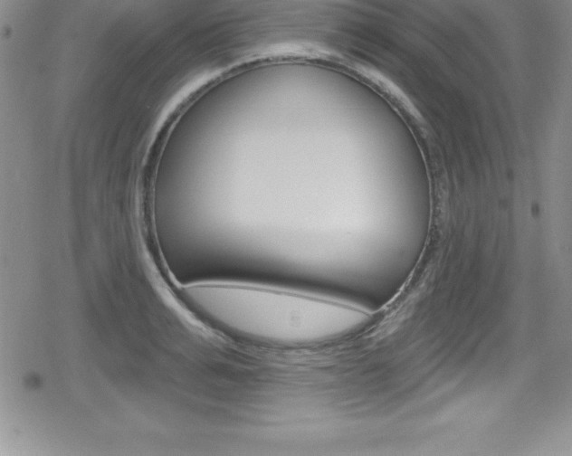 X0000080130991200612080951