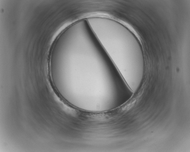 X0000080130999200612080951