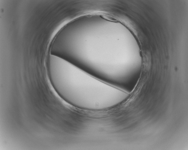 X0000080131007200612080951