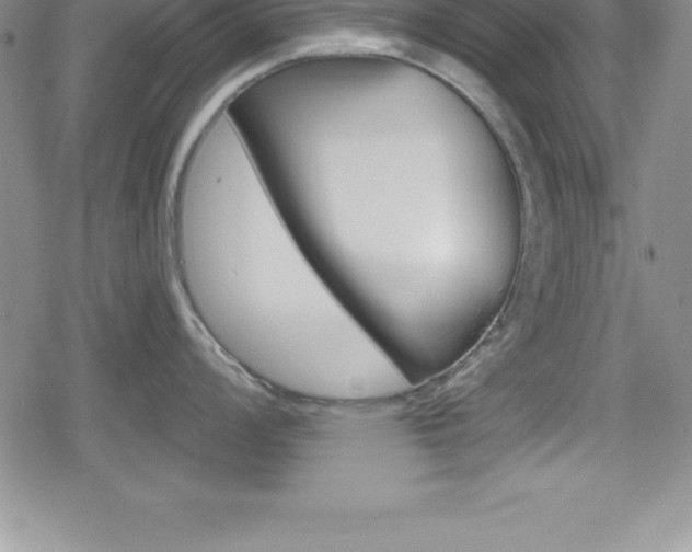 X0000080131008200612080951